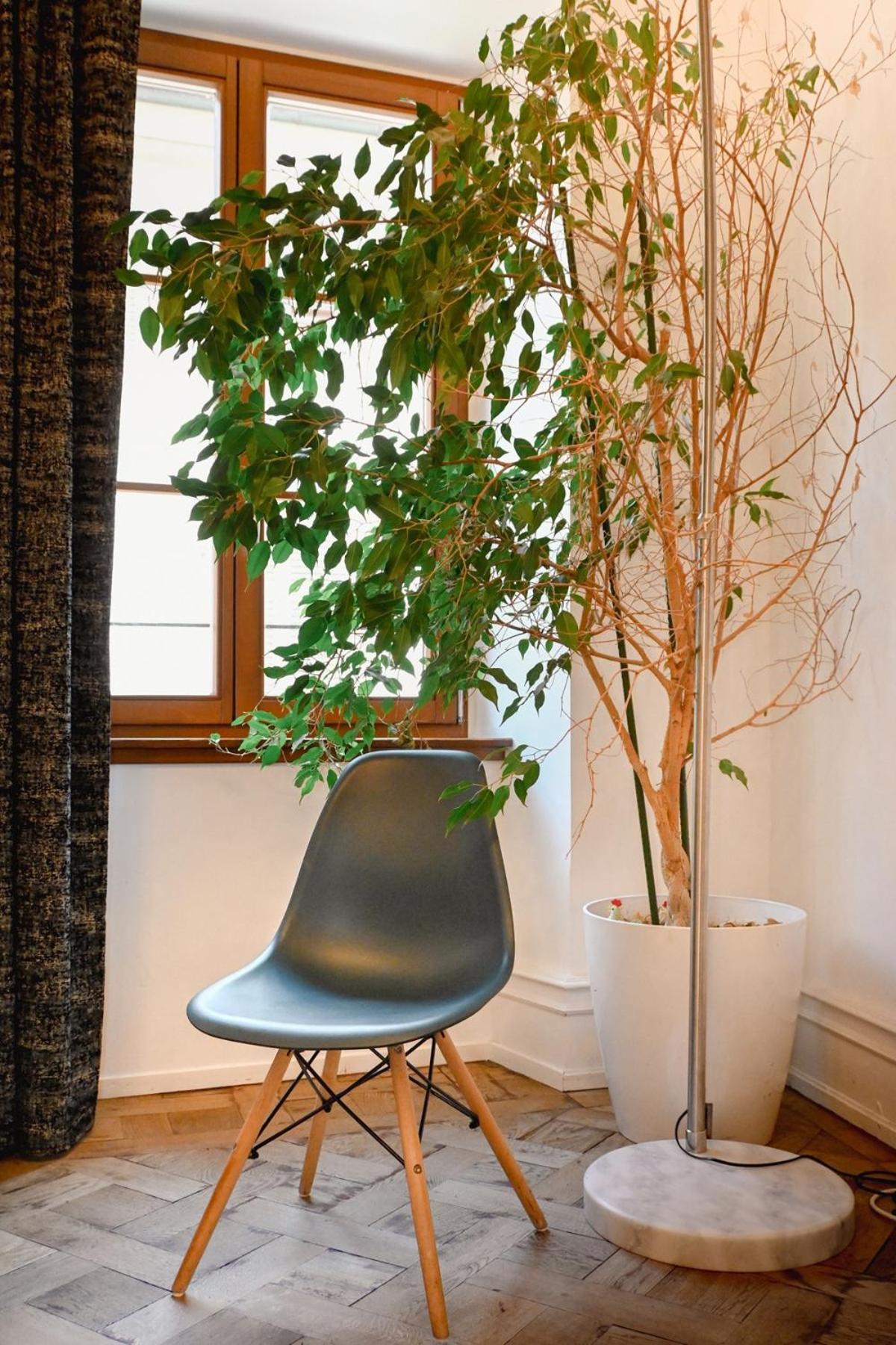 Les Appartements Rue Des Veaux - Quartier Cathedrale Страсбург Екстериор снимка